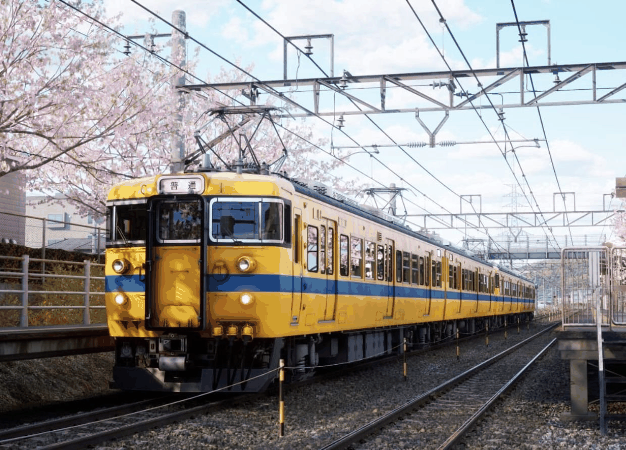 Running Train 游戏截图：火车行驶在日本乡村铁路上，两旁是樱花盛开的景色