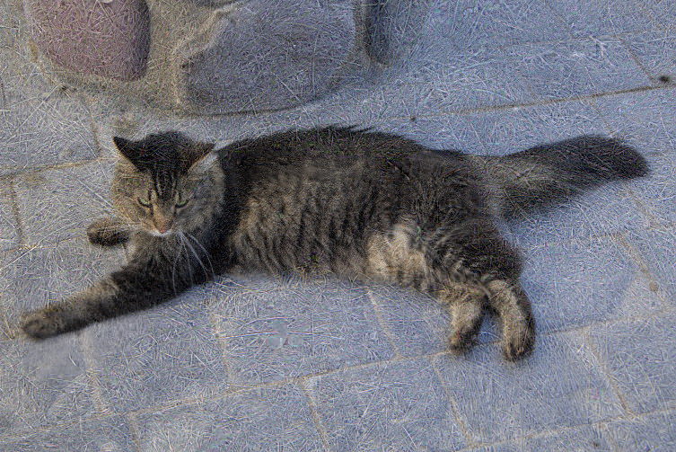 Ejemplo de JPEG regresivo: una imagen de un gato que, durante la carga, pasa de "gato en la hierba" a "otro gato en el suelo de cemento"