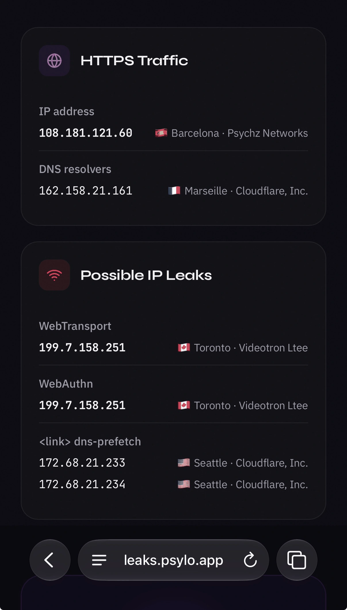 leaks.psylo.app 概念验证页面，展示检测到的泄漏
