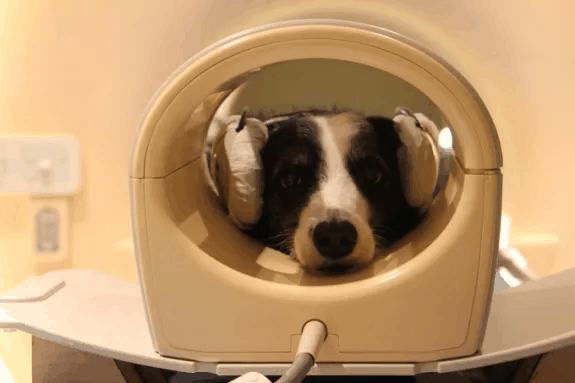 Mit Gehörschutz bereit für den Scan