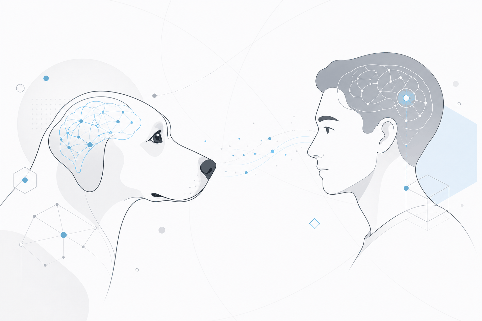 Imagerie cérébrale : les chiens distinguent la tristesse de la peur uniquement en observant nos visages