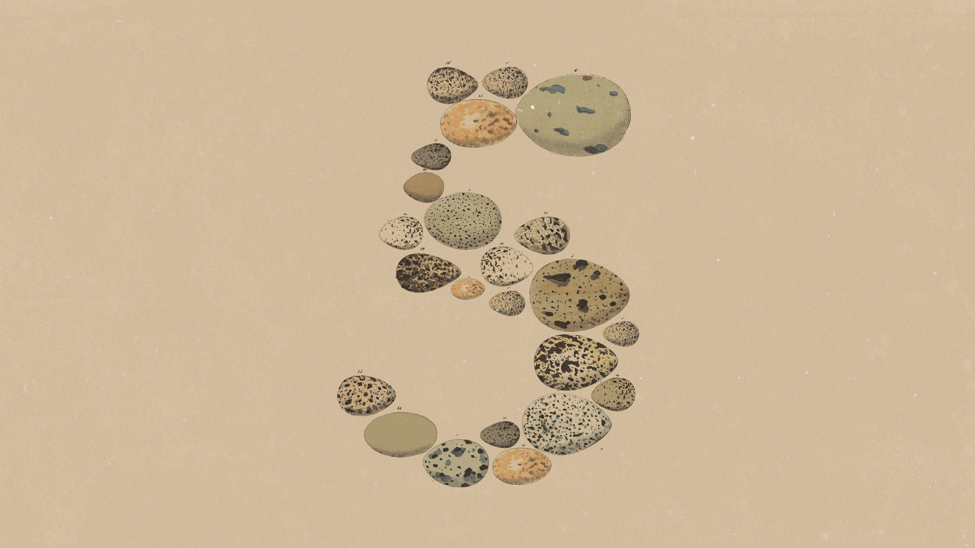 Anthropic 官方发布 Claude Opus 5