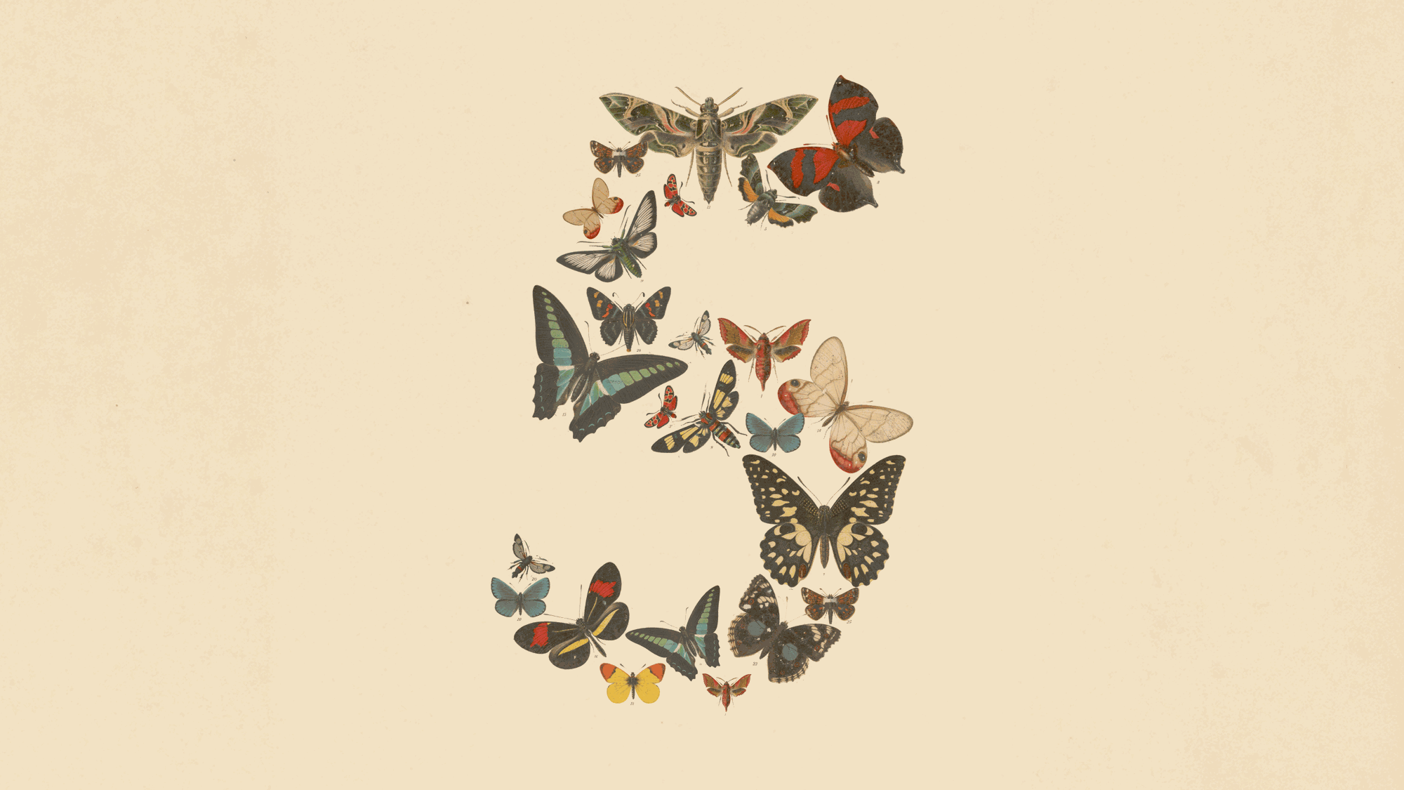 Anthropic Fable 5公告