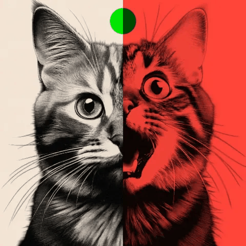 Comparison of the same cat in a real photo vs an AI-generated image