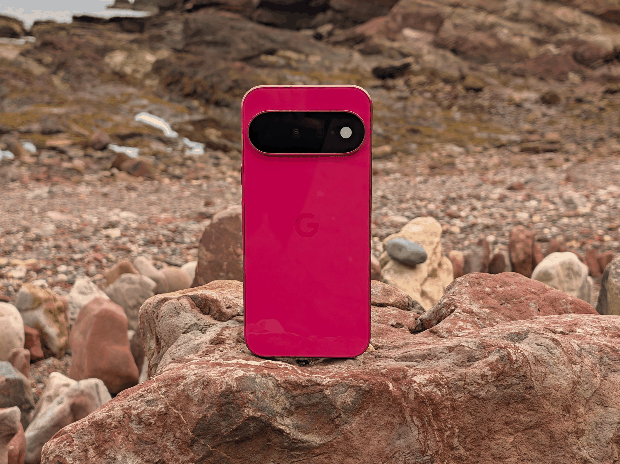 Pixel 11 实拍