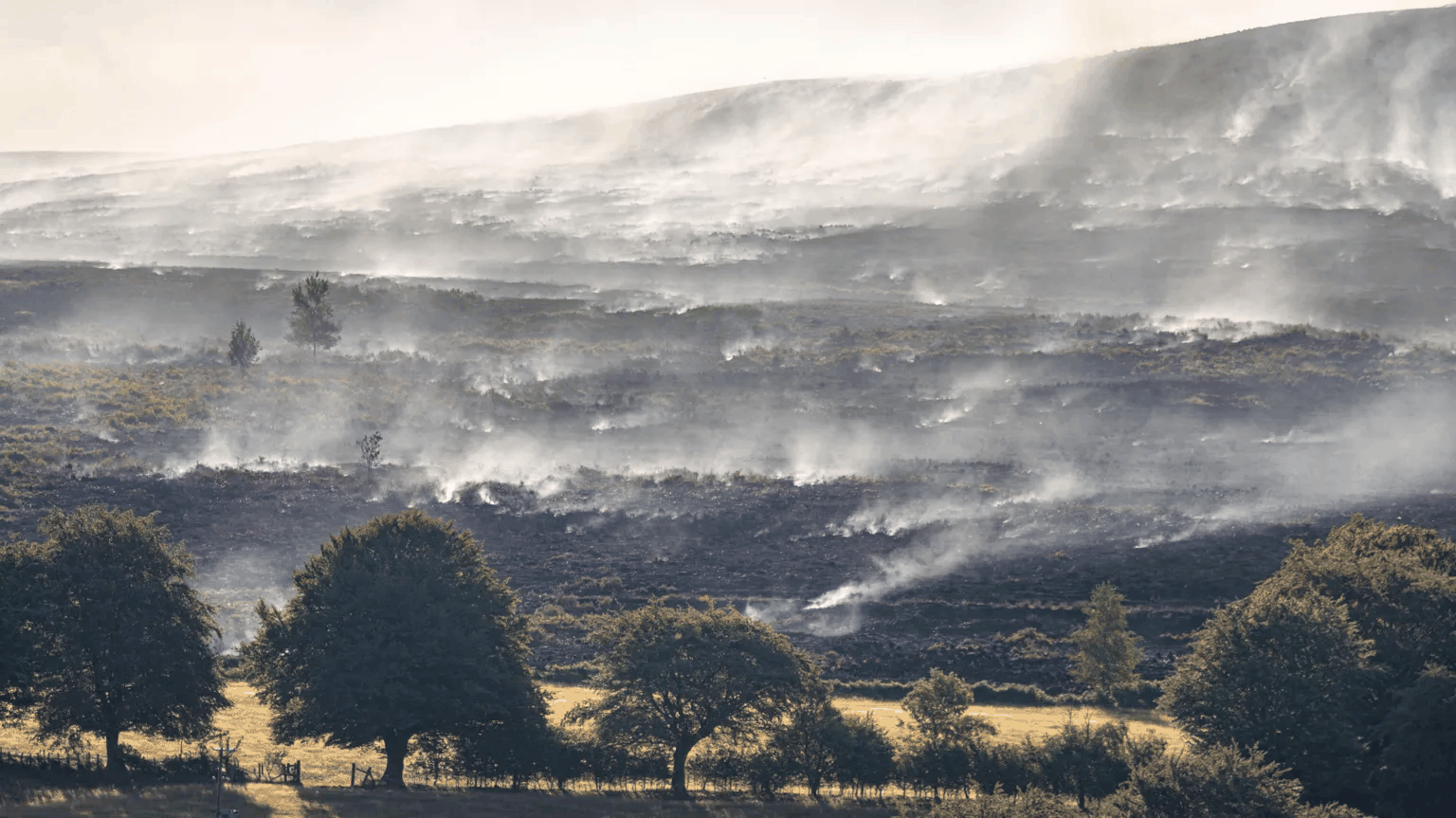 Wildfire smoke blowing over charred hillsides